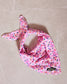 Sprinkle Me Pink Cooling Bandana for Dogs Birthday Celebrations