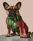 What A Melon Dog Leash by Ruffhaus NYC